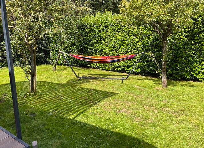 Unterkunft 232708 - Ferienhaus Friese bossen - Vakantiehuis in Houtigehage