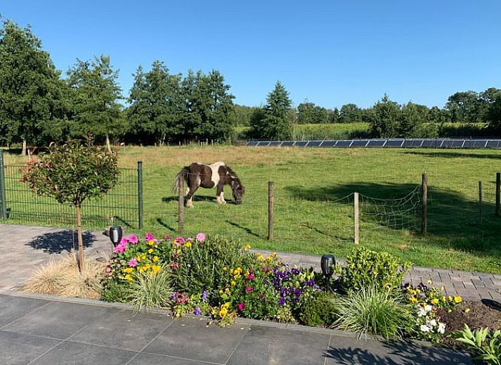 Comfortabele woonkamer in Vakantiehuis in Houtigehage, Friesland.