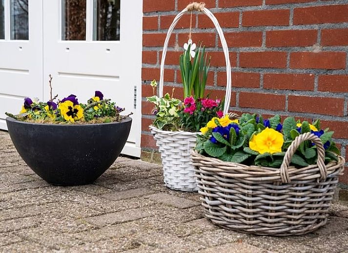 Eetruimte met uitzicht in Vakantiehuis in Houtigehage, Friese bossen.