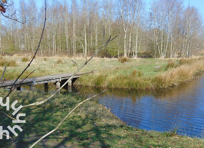 Unterkunft 232711 - Ferienhaus Friese bossen - FR190