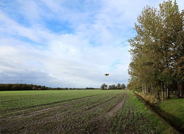 Guest house 233002 - Holiday property Friese bossen - Vakantiehuisje in Harich