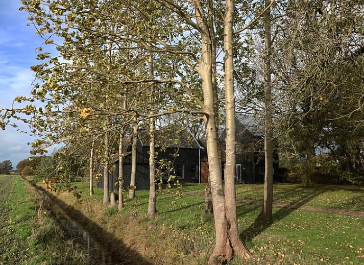 Guest house 233002 - Holiday property Friese bossen - Vakantiehuisje in Harich