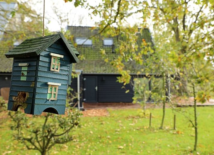 Guest house 233002 - Holiday property Friese bossen - Vakantiehuisje in Harich