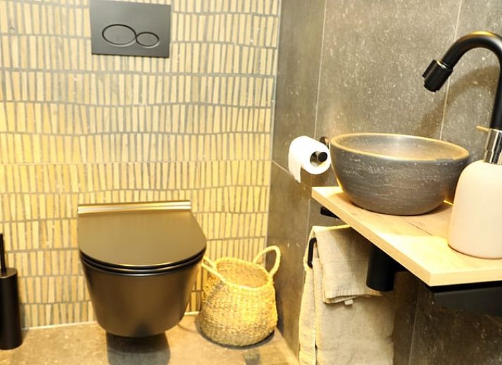 Guest house 233002 - Holiday property Friese bossen - Vakantiehuisje in Harich