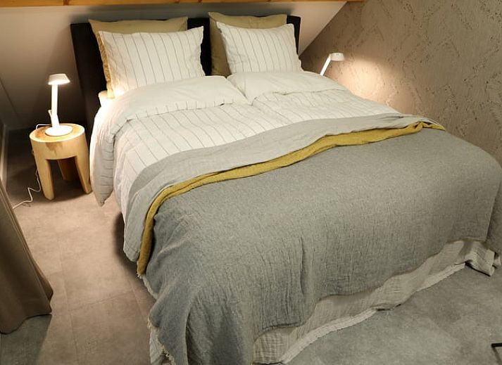 Guest house 233002 - Holiday property Friese bossen - Vakantiehuisje in Harich