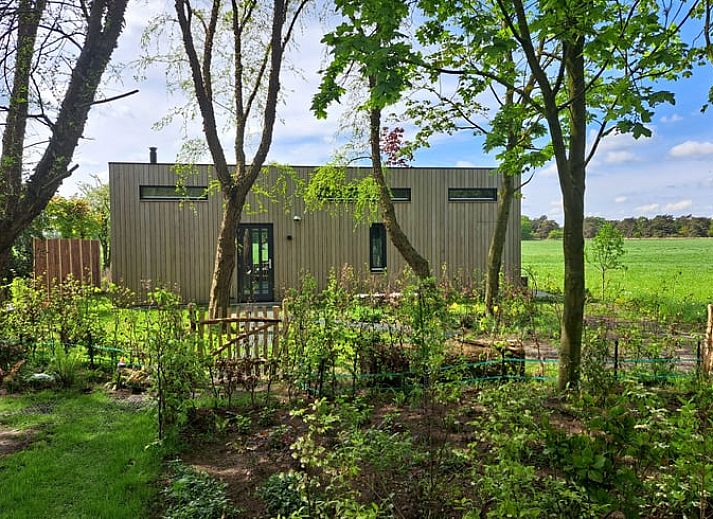 Vacation cottage in Lippenhuizen offers a beautiful view of the green Frisian forests in Friesland.