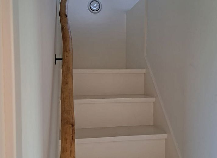 Rustic cottage in Lippenhuizen with garden path in the Frisian forests of Friesland.