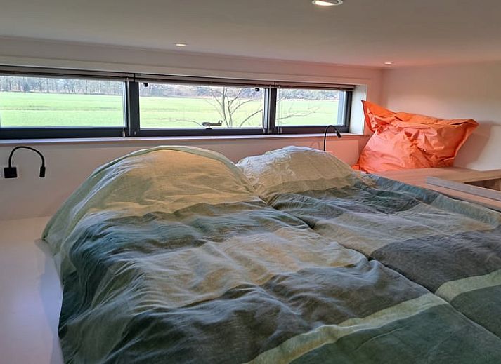 Rustic cottage in Lippenhuizen with garden path in the Frisian forests of Friesland.