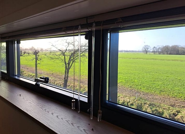 Rustic cottage in Lippenhuizen with garden path in the Frisian forests of Friesland.