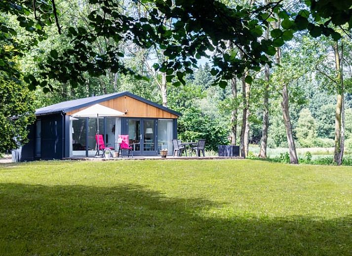 Das Ferienhaus in Ravenswoud, ein charmantes Ferienhaus in den friesischen Waeldern von Friesland, bietet rustikalen Charme und eine grosszuegige Terrasse mit Blick auf die Natur.