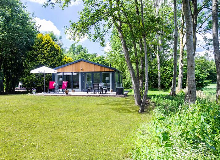 Das Ferienhaus in Ravenswoud, ein charmantes Ferienhaus in den friesischen Waeldern von Friesland, bietet rustikalen Charme und eine grosszuegige Terrasse mit Blick auf die Natur.