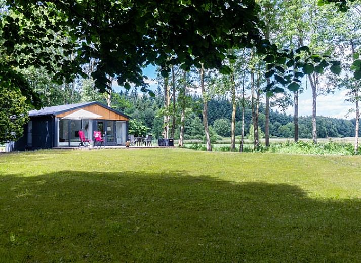 Das Ferienhaus in Ravenswoud, ein charmantes Ferienhaus in den friesischen Waeldern von Friesland, bietet rustikalen Charme und eine grosszuegige Terrasse mit Blick auf die Natur.