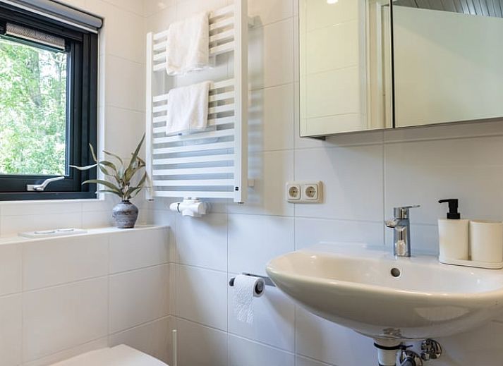 Ferienhaus in Ravenswoud, ein Ferienhaus in den friesischen Waeldern von Friesland, mit sonniger Terrasse und umgeben von gruener Natur.