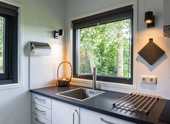 Rustikales Ferienhaus in Ravenswoud, umgeben von friesischen Waeldern in Friesland, mit grosser Terrasse und ueppiger Natur.