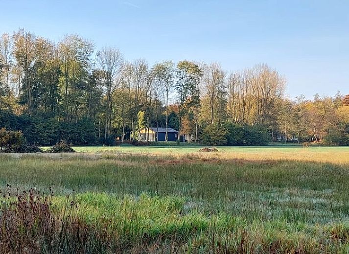 Ferienhaus in Ravenswoud, ein Ferienhaus in den friesischen Waeldern von Friesland, mit weitem Blick auf Gruenflaechen und Baeume rundherum.