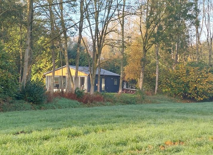 Ferienhaus in Ravenswoud, ein Ferienhaus in den friesischen Waeldern von Friesland, mit weitem Blick auf Gruenflaechen und Baeume rundherum.