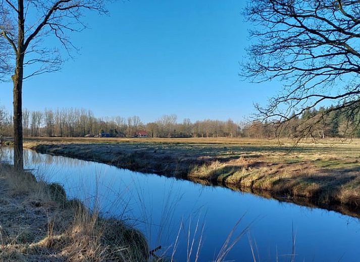 Ferienhaus in Ravenswoud, ein Ferienhaus in den friesischen Waeldern von Friesland, mit weitem Blick auf Gruenflaechen und Baeume rundherum.