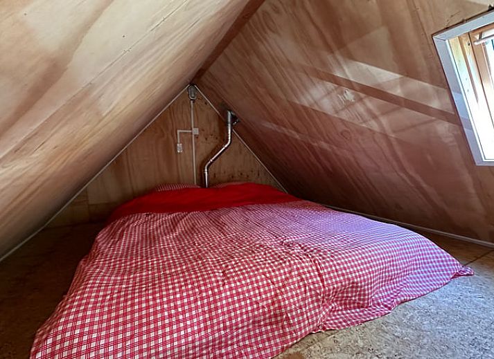 Unterkunft 233302 - Ferienhaus Friese bossen - Huisje in Beetsterzwaag