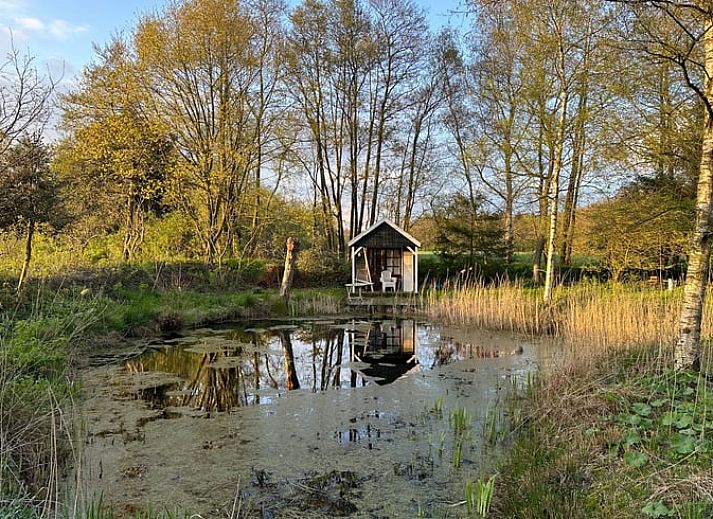 Unterkunft 233302 - Ferienhaus Friese bossen - Huisje in Beetsterzwaag