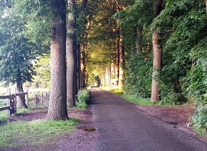 Dining room with wooden table in Holiday home in Steggerda, in the middle of the Frisian forests.