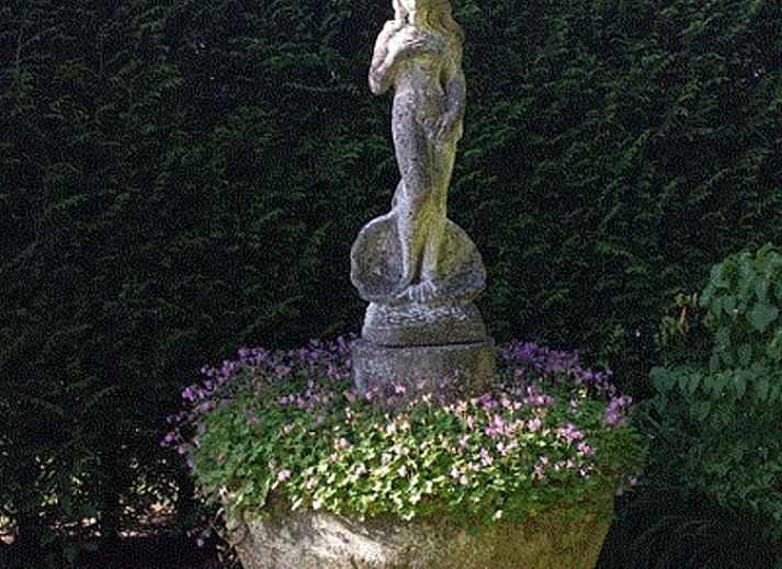 Dining room with wooden table in Holiday home in Steggerda, in the middle of the Frisian forests.