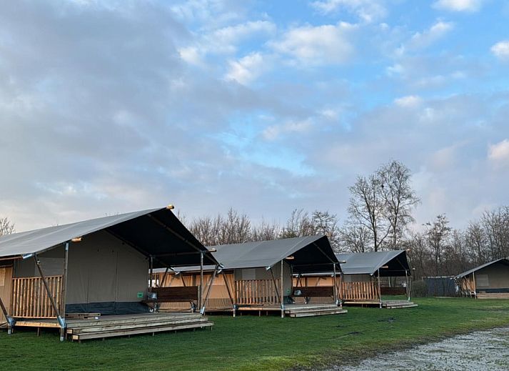 Guest house 240114 • Tent house Friese elfsteden • Safaritent