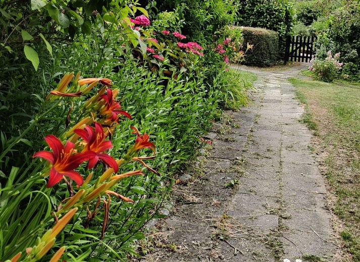 Verblijf 240120 - Appartement Friese elfsteden - Appartement Appartement in Leeuwarden mit Privater Terrasse