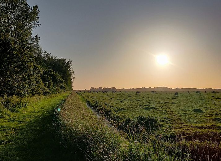 Verblijf 240120 - Appartement Friese elfsteden - Appartement Appartement in Leeuwarden mit Privater Terrasse