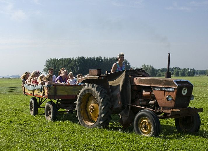 Spacious kitchen in vacation home at Recreatiebedrijf de Blikvaart, Sint Annaparochie, ideal for group stays in Friesland.