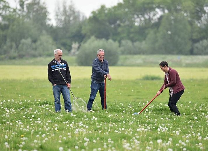 Cozy living room with dining area in vacation home at Recreatiebedrijf de Blikvaart, Sint Annaparochie, perfect for families in Friesland.