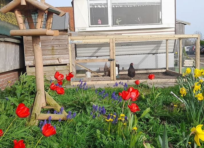 Geniet van het uitzicht op de groene velden vanaf het terras van Vakantiehuisje in Sneek, Friesland.