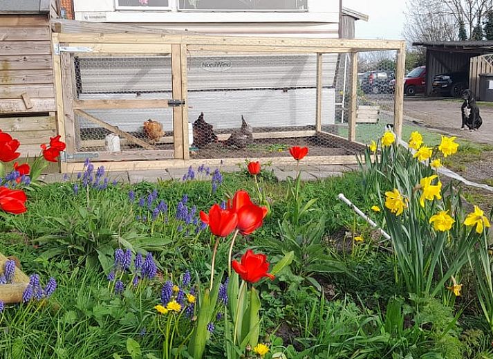 Geniet van het uitzicht op de groene velden vanaf het terras van Vakantiehuisje in Sneek, Friesland.