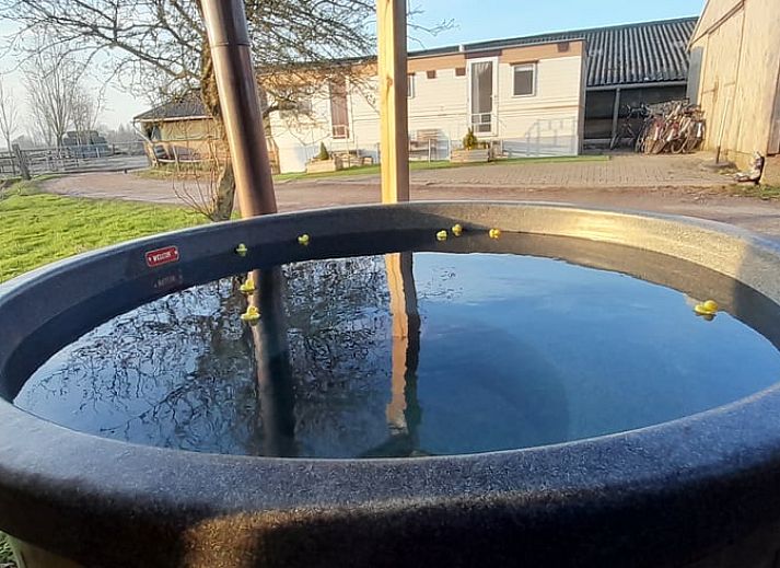 Bloemrijke tuin met kippenren bij Vakantiehuisje in Sneek, een gezellige vakantiewoning in Friesland.