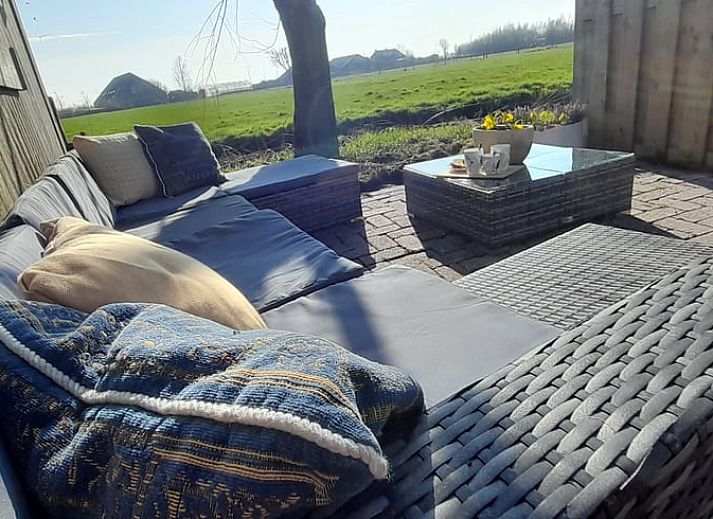 Kleurrijke bloemen en een kippenren sieren de tuin van Vakantiehuisje in Sneek, Friesland.