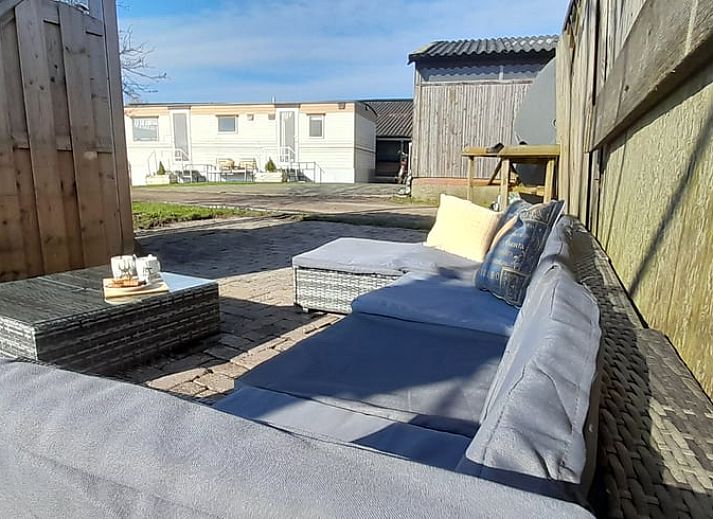 Kleurrijke bloemen en een kippenren sieren de tuin van Vakantiehuisje in Sneek, Friesland.