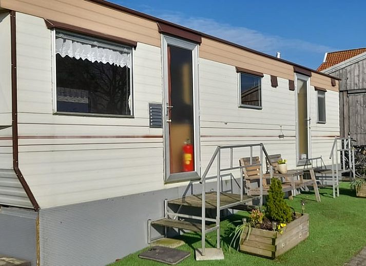 Kleurrijke bloemen en een kippenren sieren de tuin van Vakantiehuisje in Sneek, Friesland.