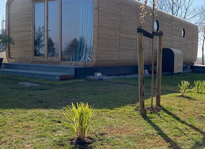 Lichte binnenruimte van Vakantiehuisje in Stavoren met uitzicht op de natuur, Friesland.