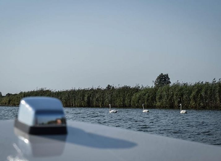 Unterkunft 240431 - Ferienhaus Friese elfsteden - Vakantiehuis in Stavoren