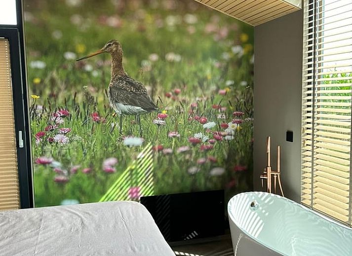 Vakantiehuis in Stavoren omgeven door groene natuur en jachthaven in Friesland.