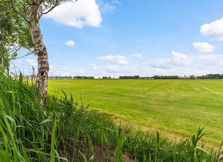 Stijlvol vakantiehuis in Stavoren, Friesland, met uitzicht op zeilboten en groene tuin.