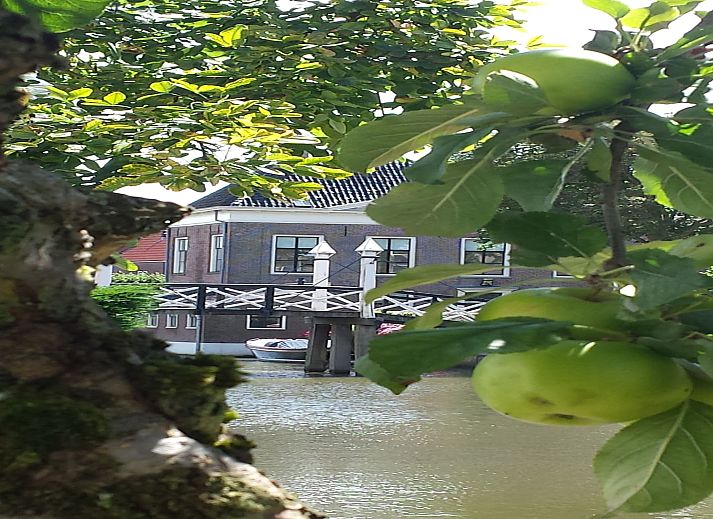 Verblijf 240539 - Vakantiewoning Friese elfsteden - Skippers Inn