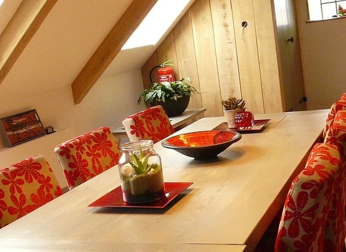 Umgeben von viel Gruen bietet das Cottage in Bolsward Ruhe in den friesischen Elfstaedten, ideal fuer Naturliebhaber.