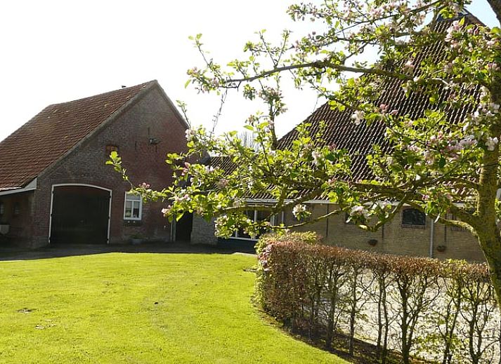 Stilvolle Kueche mit modernen Geraeten in Cottage in Bolsward, Ferienhaus in den friesischen Elfstaedten.