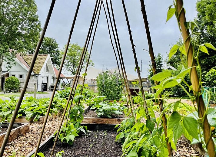 Unterkunft 241005 - Ferienhaus Friese elfsteden - Vakantiepark Schreiershoek Recreatie