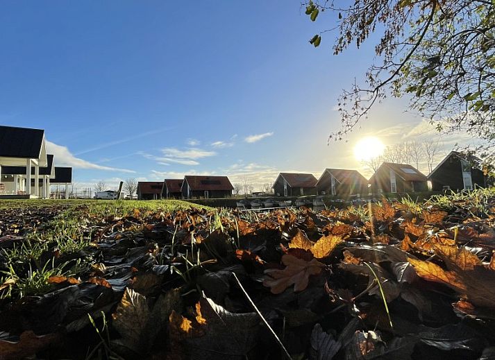 Unterkunft 241005 - Ferienhaus Friese elfsteden - Vakantiepark Schreiershoek Recreatie
