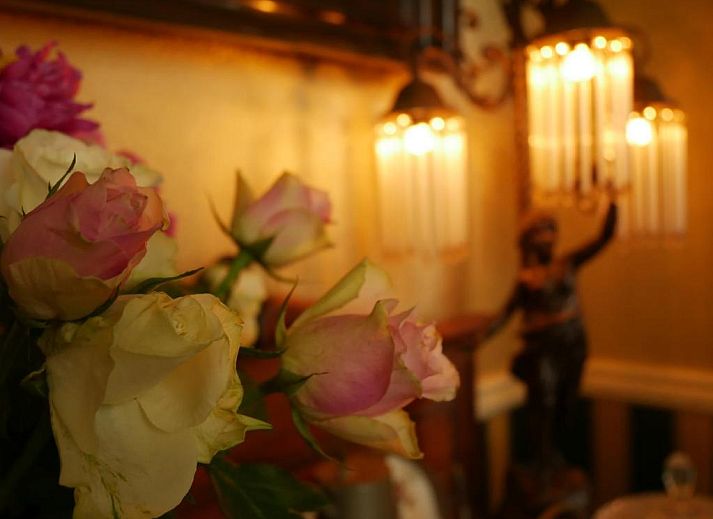 Unterkunft 245307 - Appartement Veluwe - Hotel Pegasus