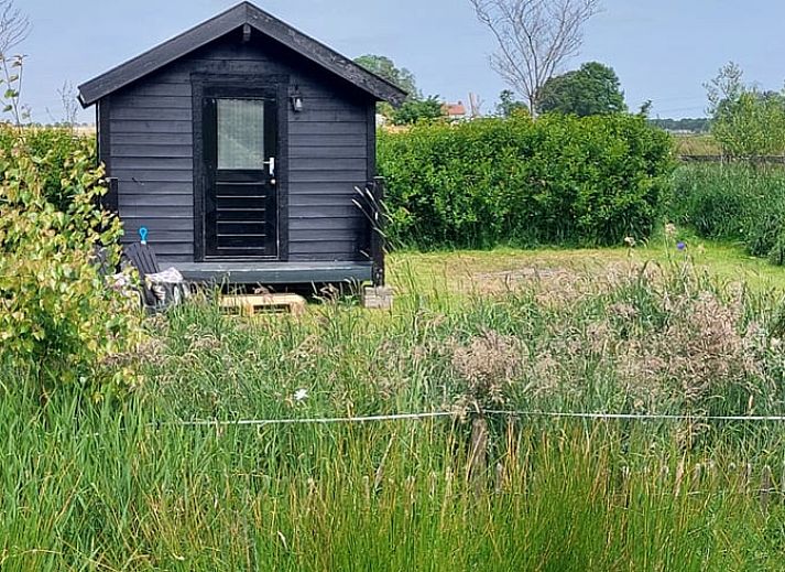 Guest house 260121 - Holiday property Het Friese platteland - Huisje in Oudehaske