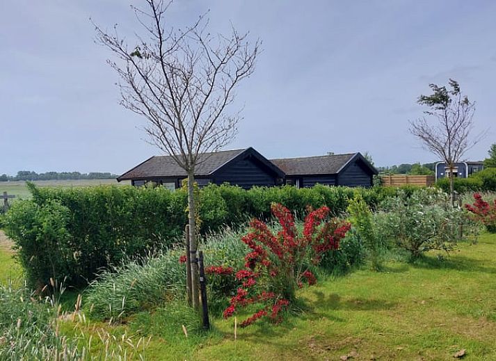 Guest house 260121 - Holiday property Het Friese platteland - Huisje in Oudehaske