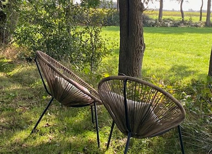 Vakantiehuisje in Donkerbroek met een groene tuin op het Friese platteland, Friesland.