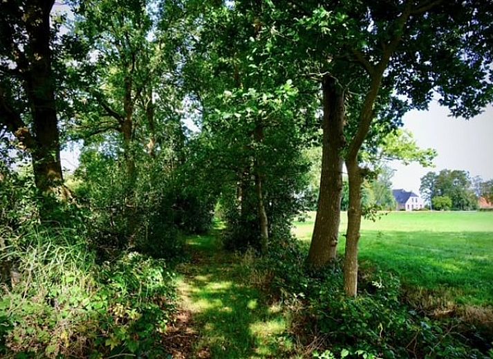 Vakantiehuisje in Donkerbroek met een groene tuin op het Friese platteland, Friesland.